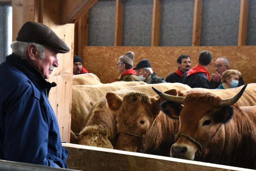 L'excellence de la production française VS des produits étrangers moins chers, sans normes