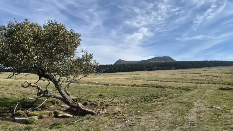 Vue générale du Mézenc côté Haute-Loire.