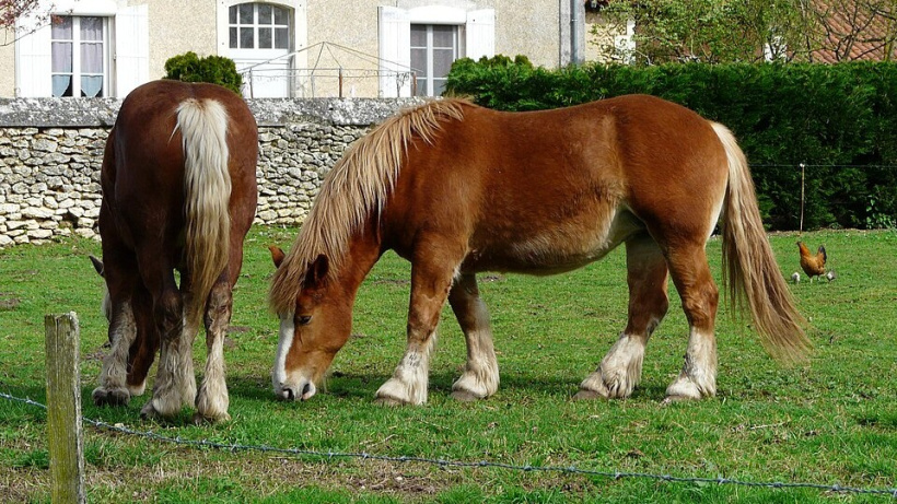 Un événement qui traverse les siècles