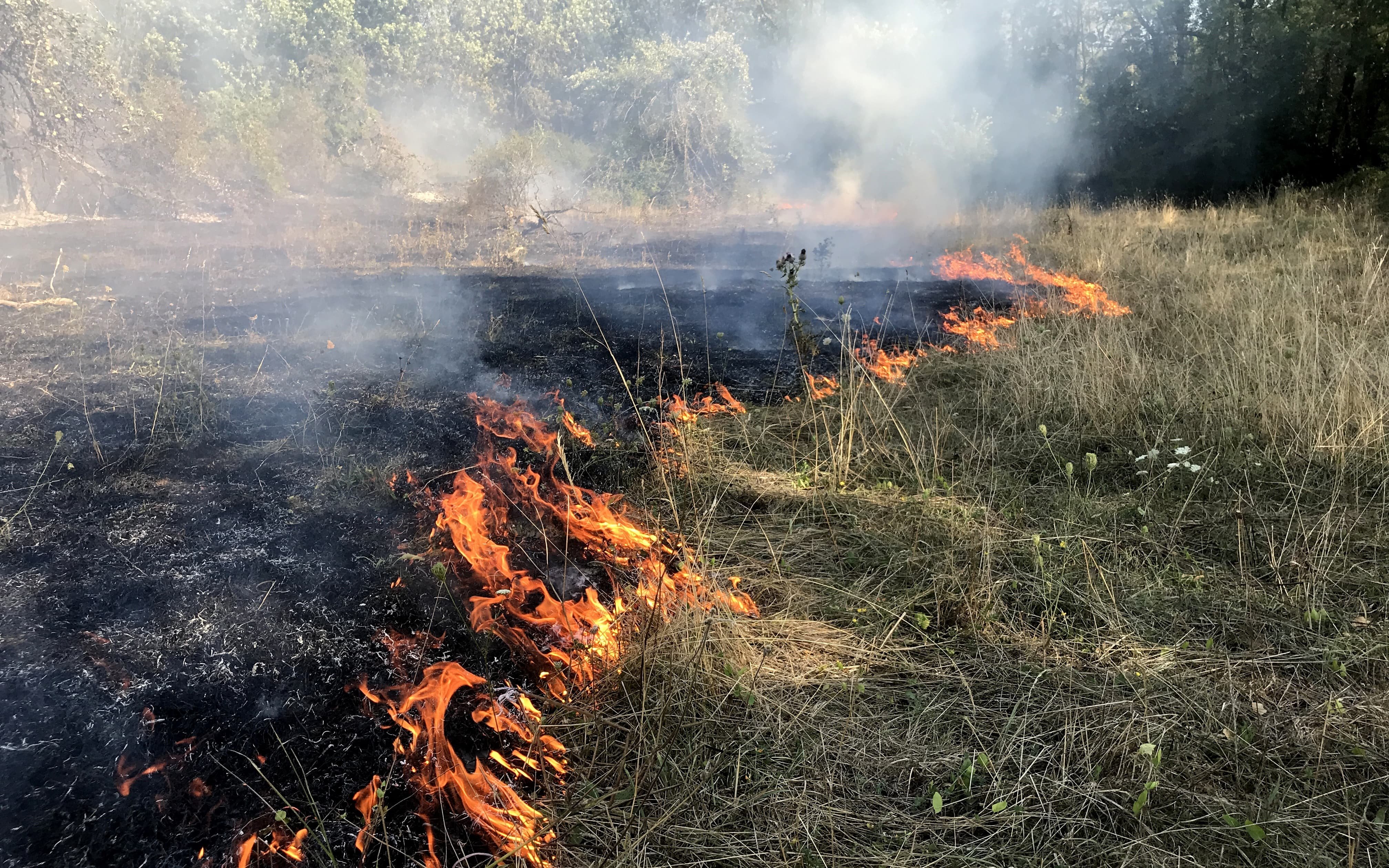 Haute-Loire experiences two fire outbreaks on Sunday